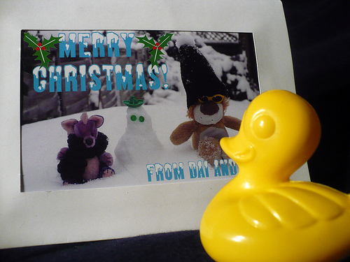 Duck Day 715 (16122010) - My Christmas card