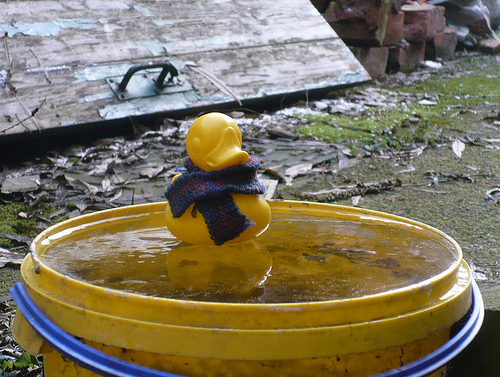 Duck Day 716 (17122010) - Bucket of ice