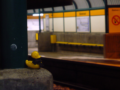 Duck Day 717 (18122010) - Waiting for the Metro
