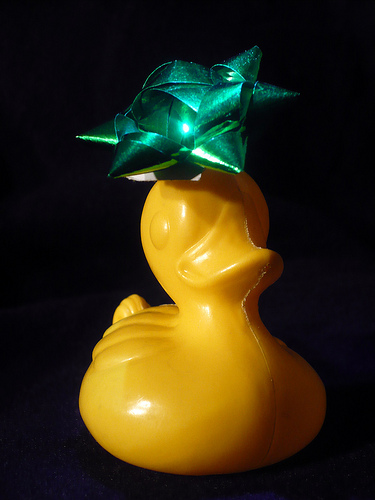 Duck Day 718 (19122010) - Shiny bow