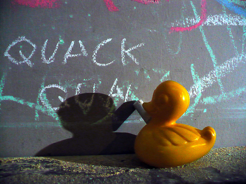 Duck Day 102 (12042009) - Chalk