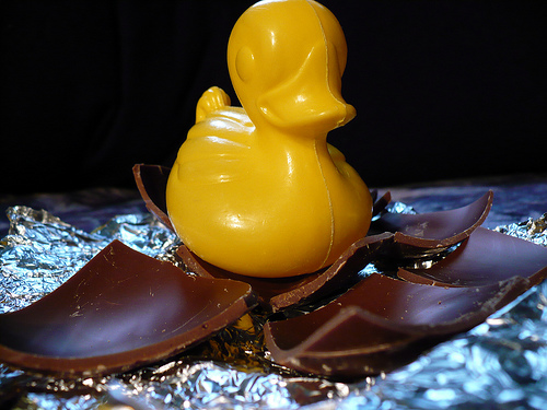 Duck Day 104 (14042009) - Broken egg