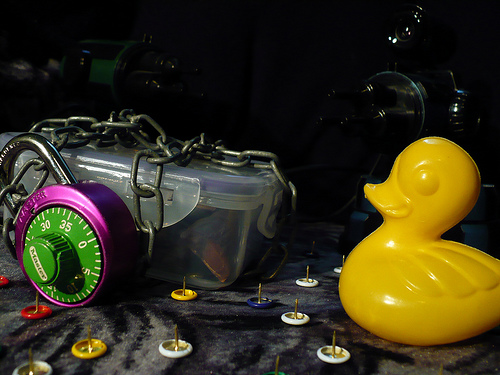 Duck Day 105 (15042009) - Safe chocolate