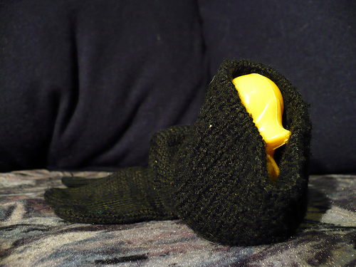 Duck Day 106 (16042009) - Glove