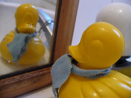 Duck Day 107 (17042009) - Getting ready