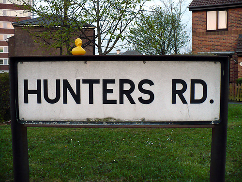 Duck Day 110 (20042009) - Get me out of here