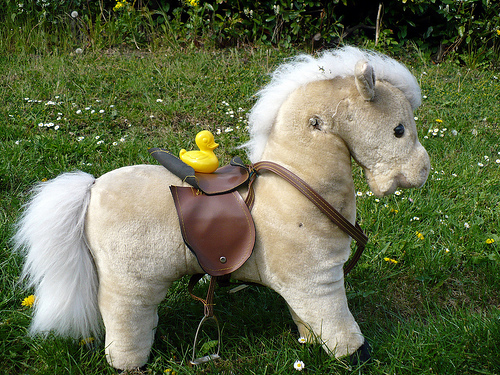 Duck Day 112 (22042009) - Giddy up