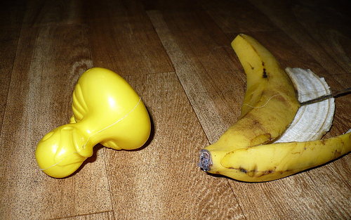 Duck Day 114 (24042009) - Another slip