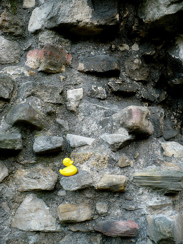 Duck Day 119 (29042009) - Rock Climbing