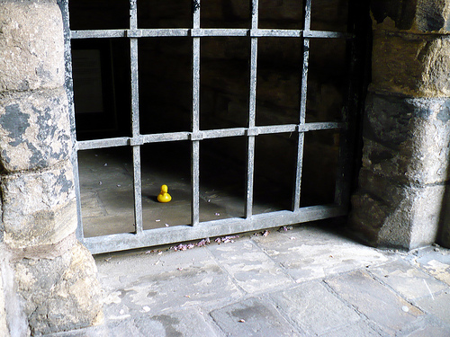 Duck Day 120 (30042009) - Locked up