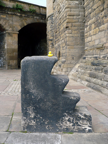 Duck Day 123 (03052009) - A waste of climb