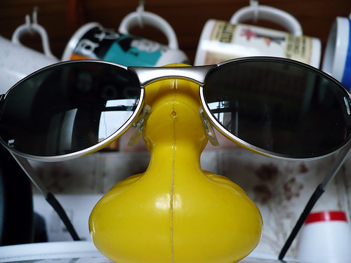 Duck Day 126 (06052009) - Sunglasses