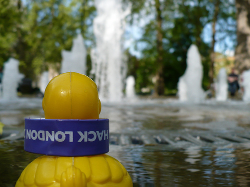 Duck Day 130 (10052009) - In the fountain