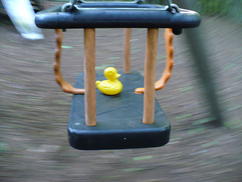 Duck Day 131 (11052009) - A go on the swing