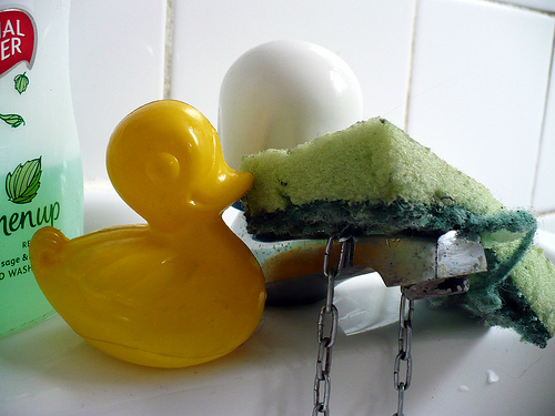 Duck Day 134 (14052009) - Spring tap cleaning