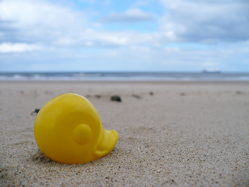 Duck Day 138 (18052009) - Buried in sand