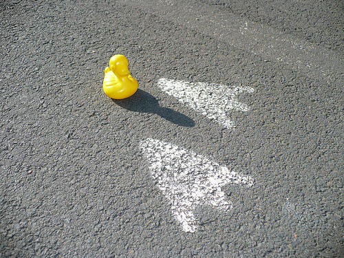 Duck Day 141 (21052009) - Big feet