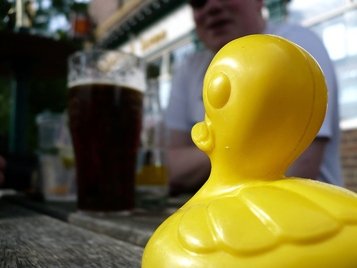 Duck Day 145 (25052009) - A pint in the sun