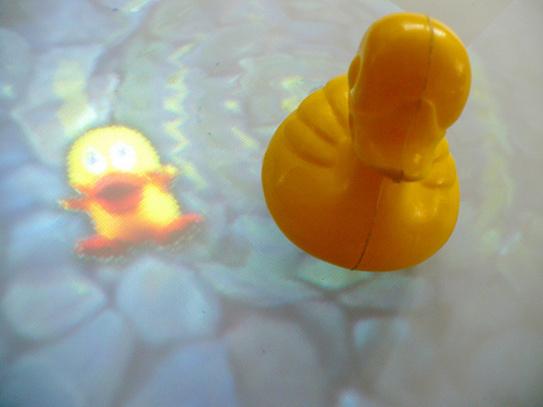 Duck Day 146 (26052009) - Touch table