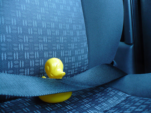 Duck Day 152 (01062009) - Belt up