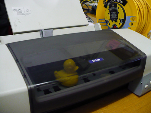 Duck Day 153 (02062009) - Printout