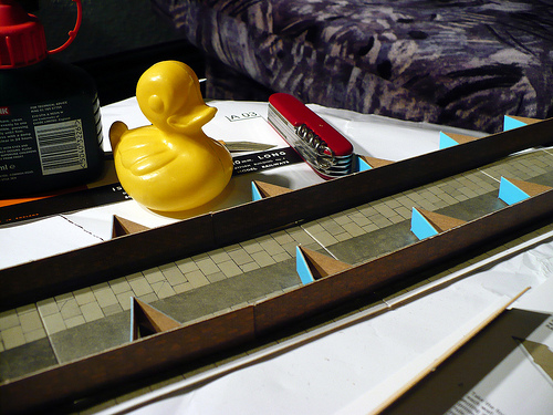 Duck Day 154 (03062009) - Model making