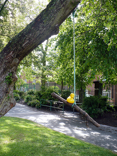 Duck Day 156 (05062009) - A new rope swing