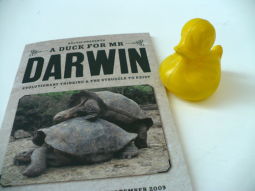 Duck Day 158 (07062009) - Duck for Darwin