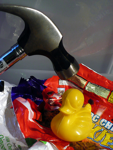 Duck Day 160 (09062009) - A compelling argument