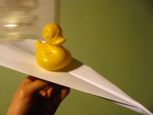 Duck Day 162 (11062009) - Trying to fly