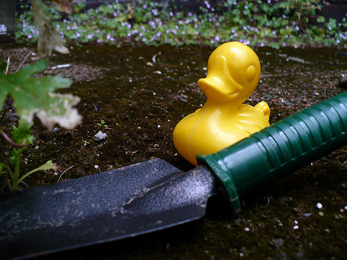 Duck Day 164 (13062009) -  Weeding the garden