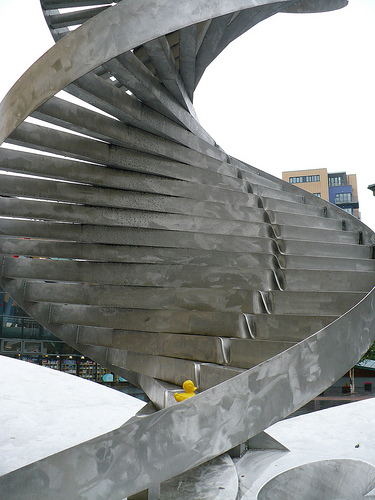 Duck Day 168 (17062009) - Double helix