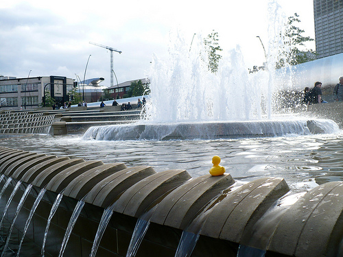 Duck Day 170 (19062009) - Now in Sheffield