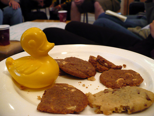 Duck Day 172 (21062009) - Biscuites