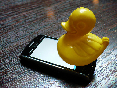 Duck Day 177 (26062009) - Blackberry