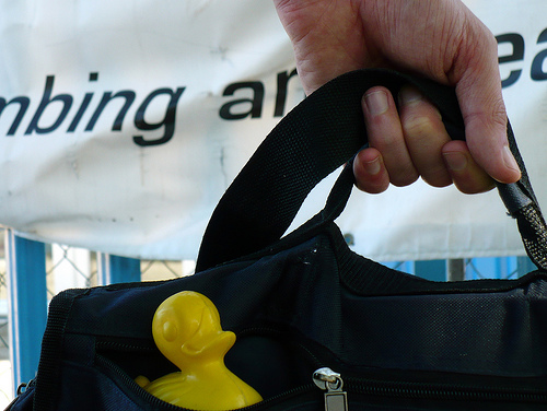 Duck Day 183 (02072009) - In the bag