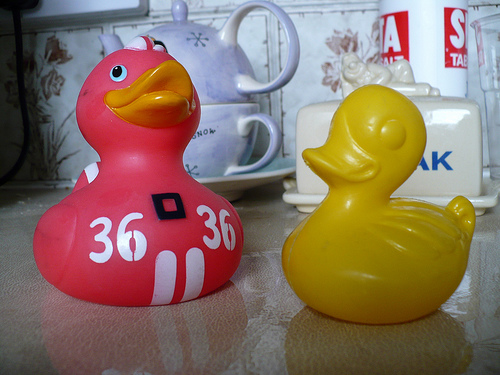 Duck Day 188 (07072009) - My sporty friend