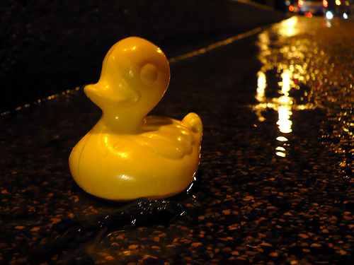 Duck Day 192 (11072009) - Out on the town