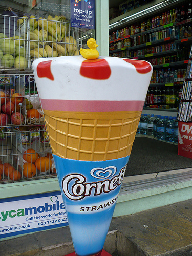 Duck Day 193 (12072009) - One this size please