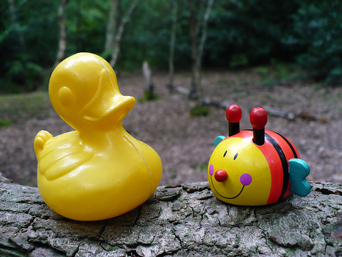 Duck Day 195 (14072009) - Mr Bug