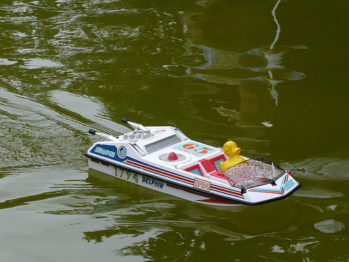 Duck Day 200 (19072009) - Out on the pond