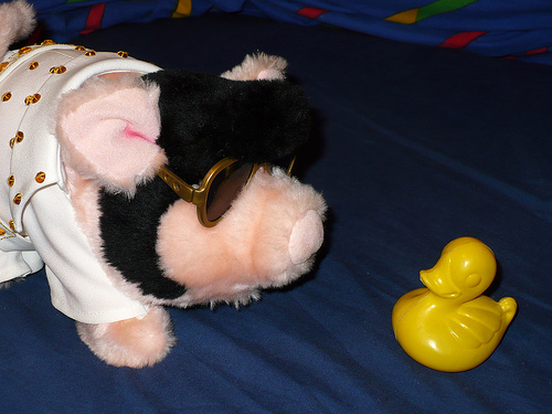 Duck Day 202 (21072009) - Elvis