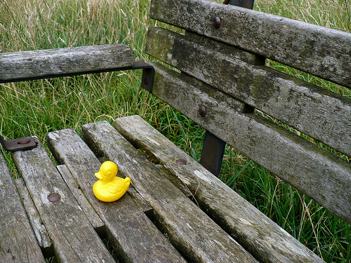Duck Day 204 (23072009) - Having a sit down
