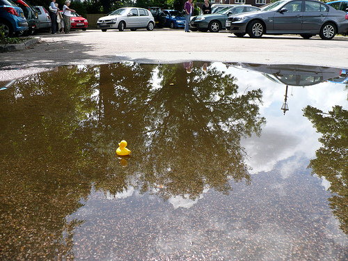 Duck Day 205 (24072009) - Parking puddle
