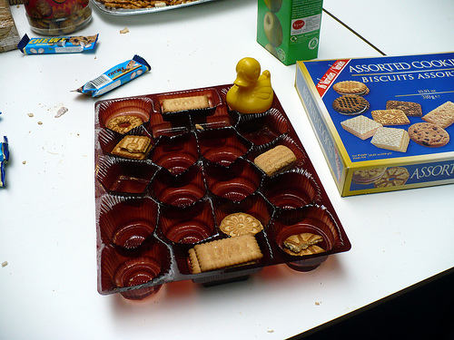 Duck Day 207 (26072009) - Biscuits
