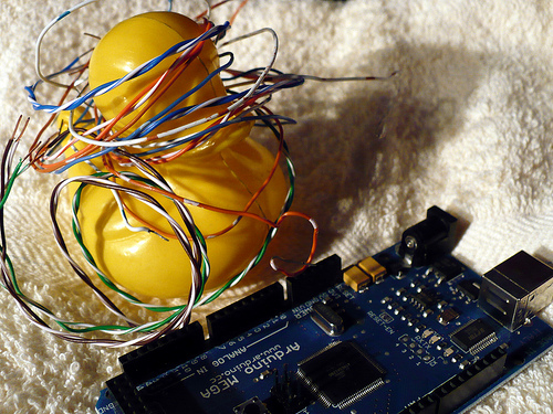 Duck Day 210 (29072009) - Arduino Mega