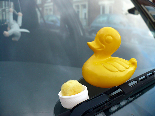 Duck Day 216 (04082009) - Washing windows