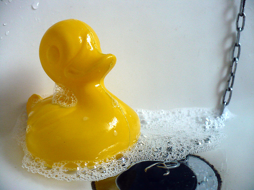 Duck Day 217 (05082009) - Having a Clean
