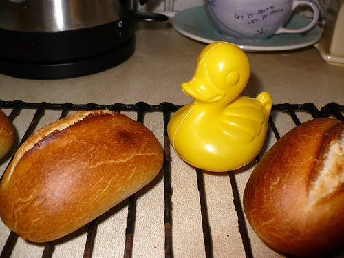 Duck Day 219 (07082009) - Bread