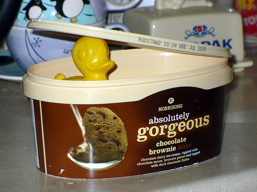 Duck Day 222 (10082009) - Ice Cream
